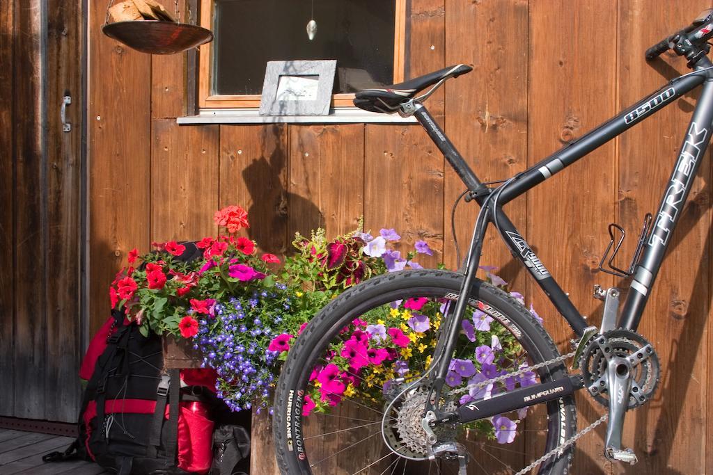 Almhuette & Skihuette Kohlerhaus Stuben am Arlberg Eksteriør billede